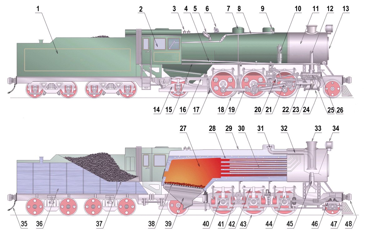 Cross section of a steam locomotive showing the components of the enging.